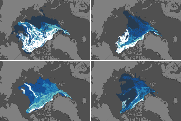 Sea ice age in early September of 2000, 2007, 2011, and 2023