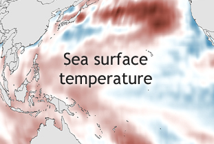 Sea surface temperature
