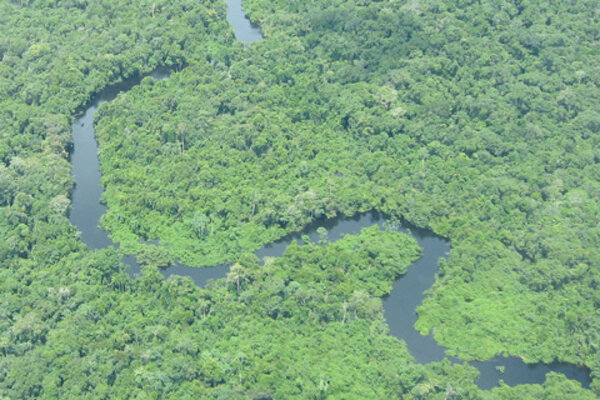 Photo of the Amazon river and surrounding jungle