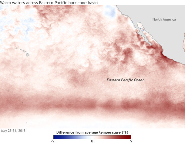 Map showing sea surface temperature anomalies over the eastern Pacific Ocean for the week of May 25-31