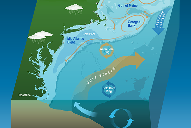 Northeastern U.S. continental shelf diagram