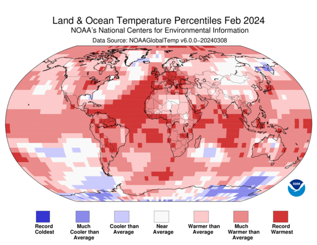 map showing February 2024 surface temperature