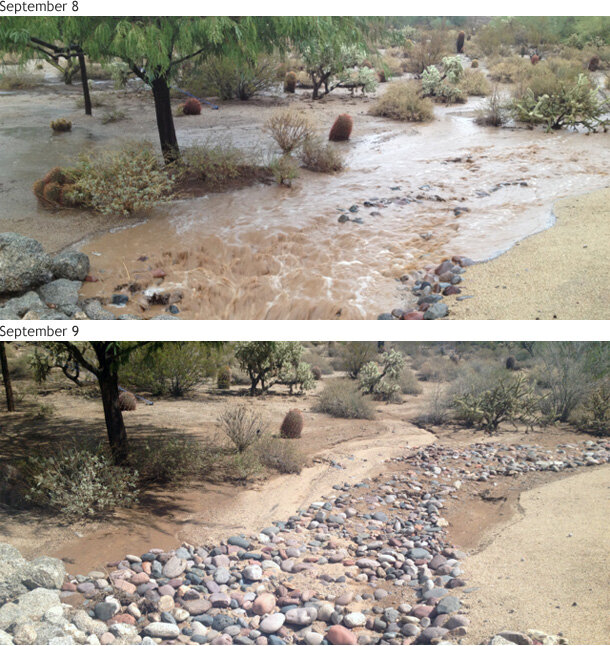 Flash flooding in Mesa, Arizona