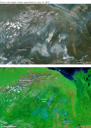 natural-color and false-color satellite images of fires and burned areas in Alaska