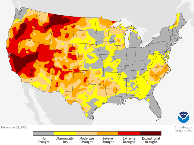 Image of a map of the Drought Monitor dataset Drought Monitor