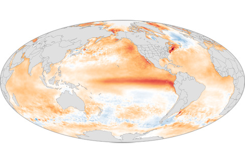 2015 State of the Climate: El Niño came, saw, and conquered