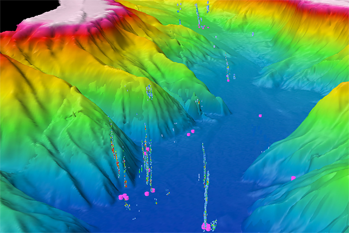 Seafloor mapping data reveal large number of gas seeps off U. S. West Coast