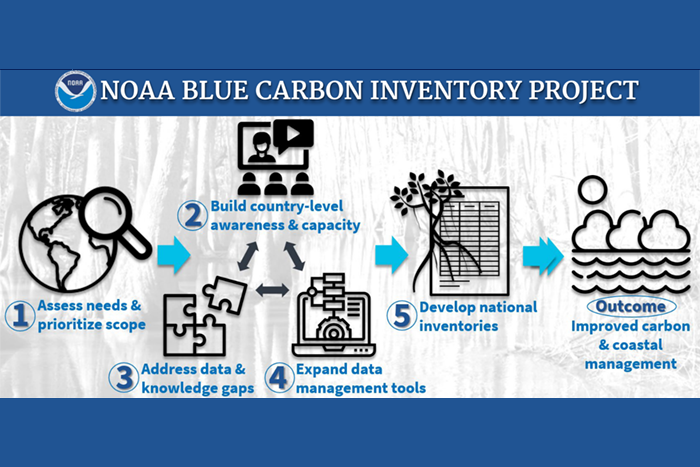 NOAA Blue Carbon Inventory Project among first round of ocean decade endorsed actions