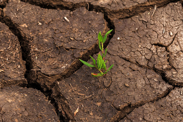 National soil moisture strategy released