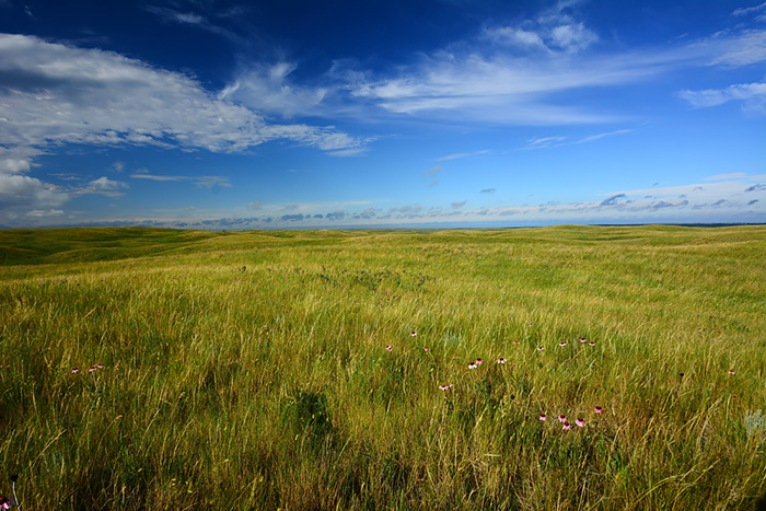 U. S. Climate Resilience Toolkit launches new section for the Northern Great Plains