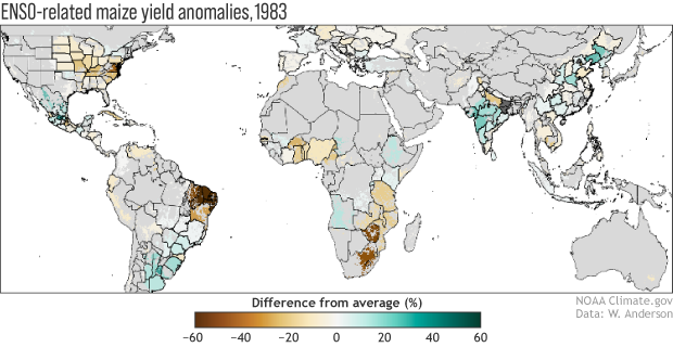 ENSO as a climate conductor for global crop yields