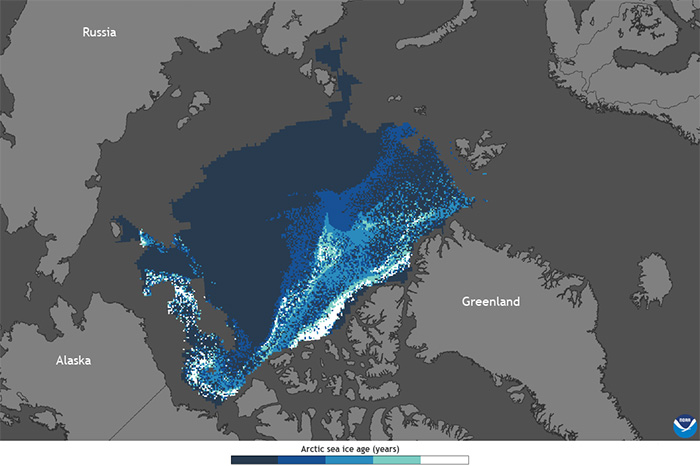 Arctic Sea Ice Age