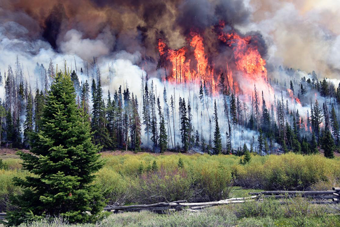 WE-CAN campaign data explores chemical evolution in wildfire plumes