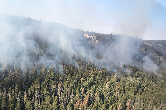 Climate change altering wildfire behavior
