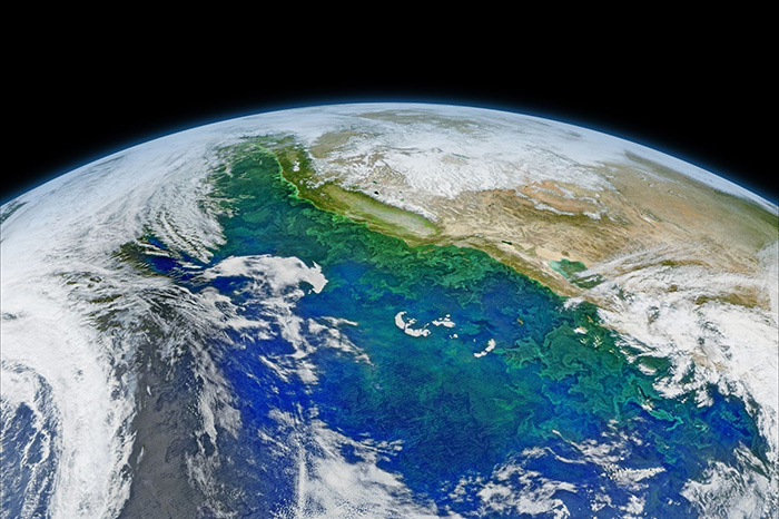 How do high-resolution ocean reanalyses compare in the California current system?