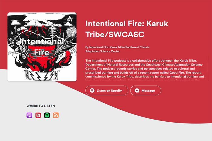 'Stories as data: Indigenous research sovereignty and the 'Intentional Fire' podcast' available