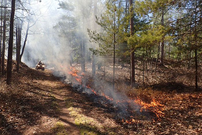 New analysis of smoke from a controlled burn in northern Michigan