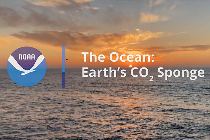 New video: 'The Ocean: Earth's Carbon Dioxide Sponge'