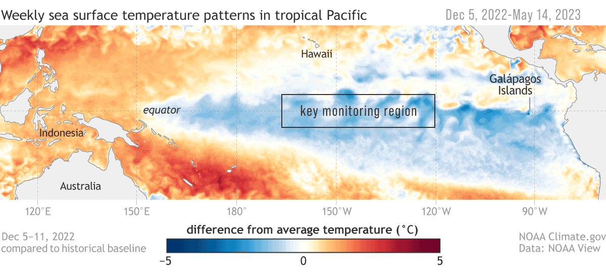 Weekly maps of temperatures in tropical Pacific show cool anomalies fade and warm anomalies appear