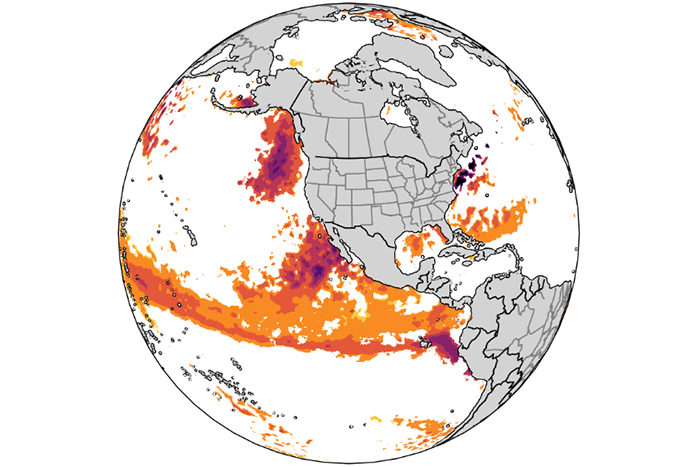 North American marine heatwaves: How do sea surface and seafloor heatwaves compare?