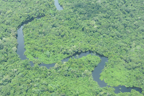 How drought affects carbon balance in the Amazon 