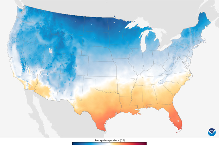 Temperature - US Monthly Average