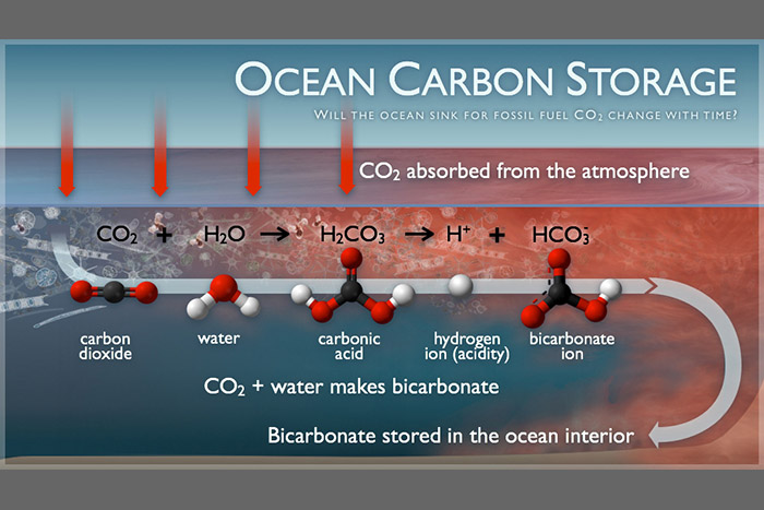 Landmark study indicates weakening of ocean carbon sink