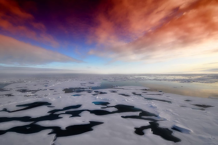 Significant phytoplankton blooms beneath Antarctic sea ice