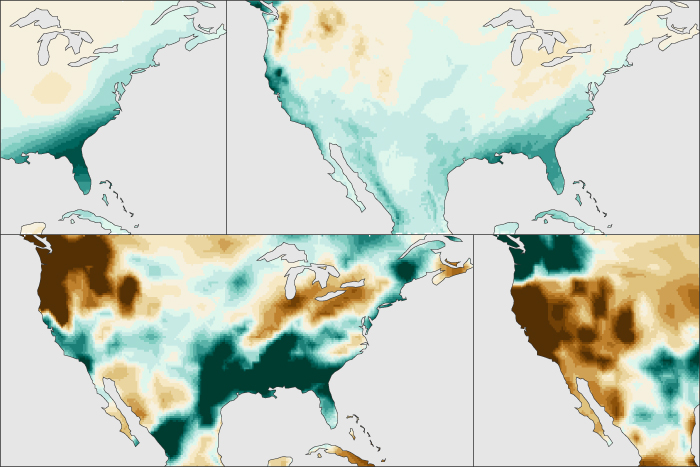 How does El Niño influence winter precipitation over the United States? 