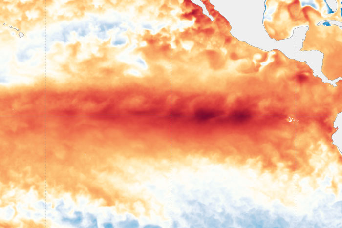 January 2024 El Niño update: for the birds