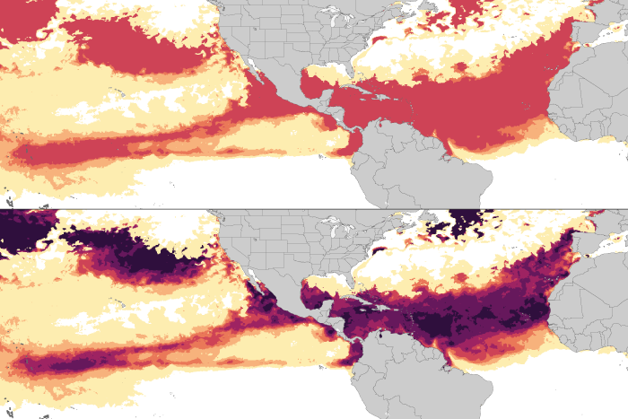 NOAA Coral Reef Watch extends alert scale following extreme coral heat stress in 2023