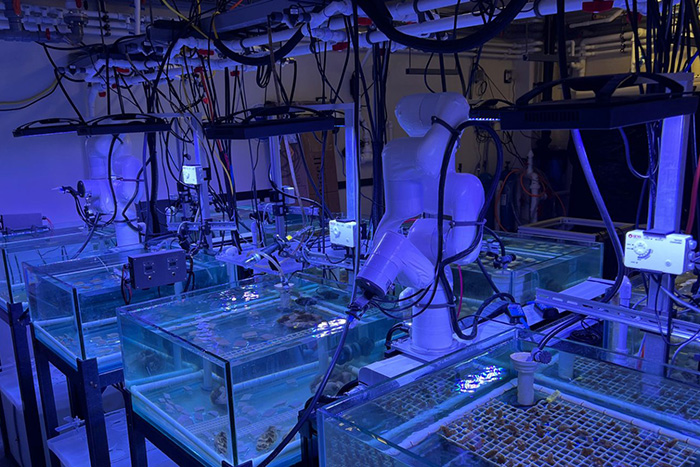Investigating the impacts of climate change on reef-building corals using robotic arms