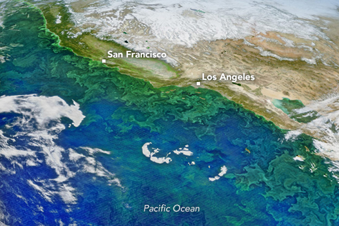 Nutrients are crucial in projecting marine ecosystem health in the California Current System