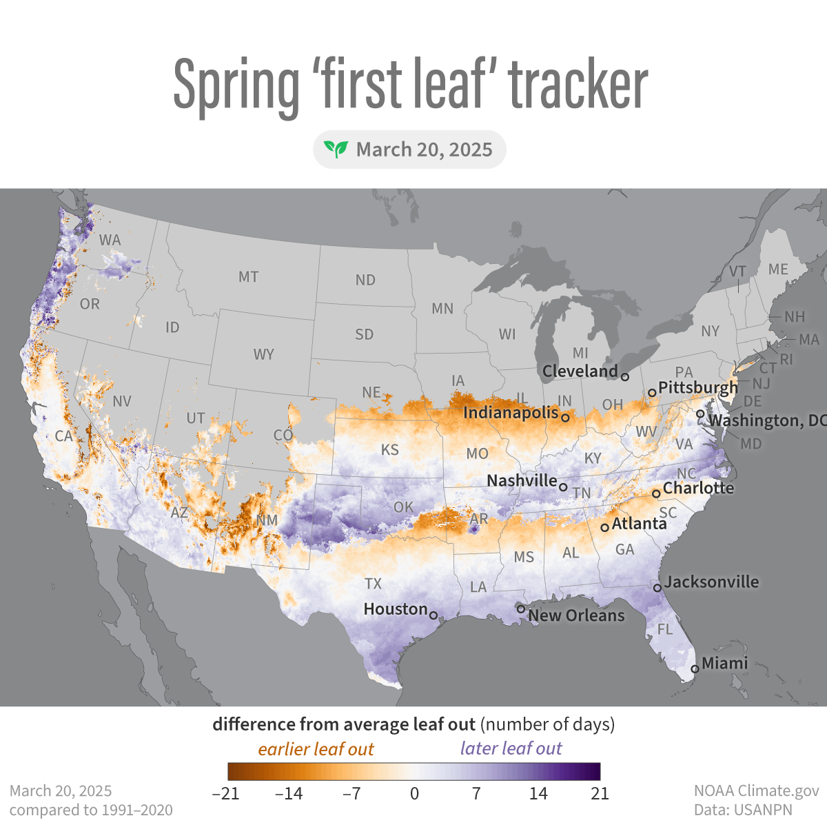 First signs of spring make their way northward across the U.S. | NOAA ...