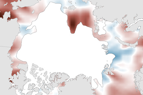 Summer 2014 brought above-average warmth to western Arctic waters