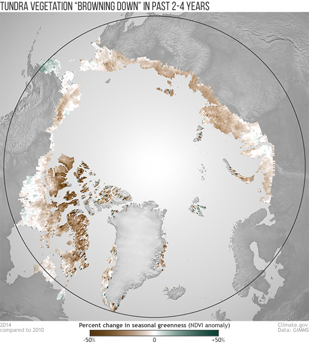 Map shows overall changes in greenness over the Arctic growing season, 2010-2014. 