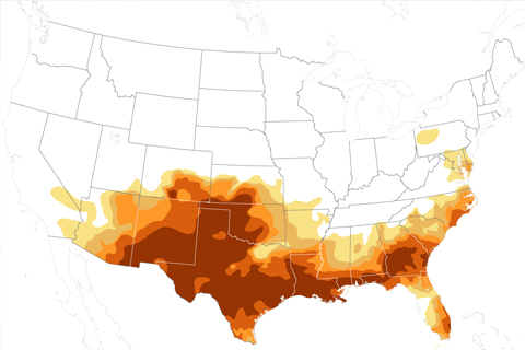 Exceptional Drought Widespread in July 2011