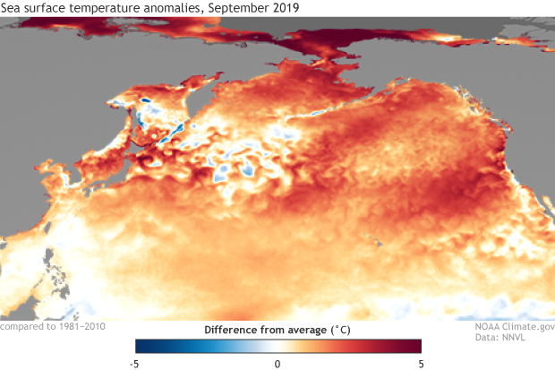 September SST anomalies