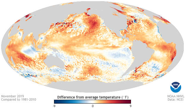 November, Sea surface temperature, anomaly