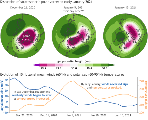 On the sudden stratospheric warming and polar vortex of early 2021