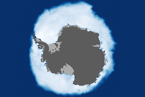 Despite Antarctic Gains, Global Sea Ice Is Shrinking