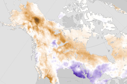 Fire fuels in high northern latitudes are becoming more flammable