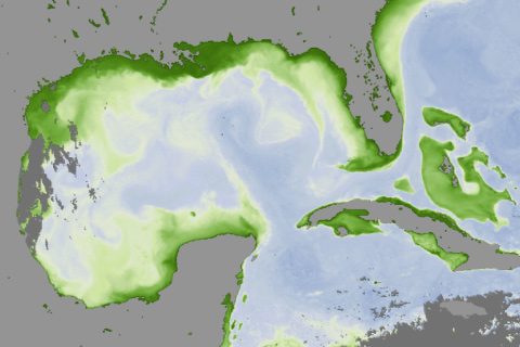 Wet spring linked to forecast for big Gulf of Mexico 'dead zone' this summer