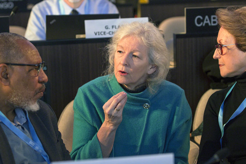 Talking with IPCC Vice-chair Ko Barrett: On climate change and consensus building