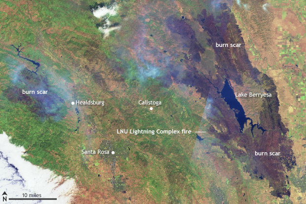 wildfire, California, August 2020, LNU Lightning Complex fire