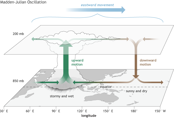 Madden-Julian Oscillation schematic