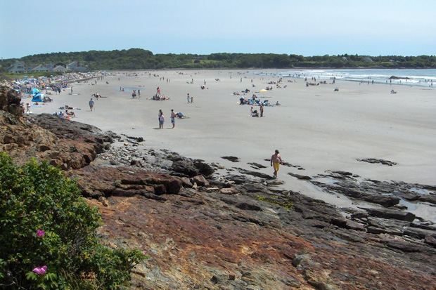 As Storms And Sea Level Rise Reshape Beaches Volunteers Keep Track Of Changing Coasts Noaa Climate Gov