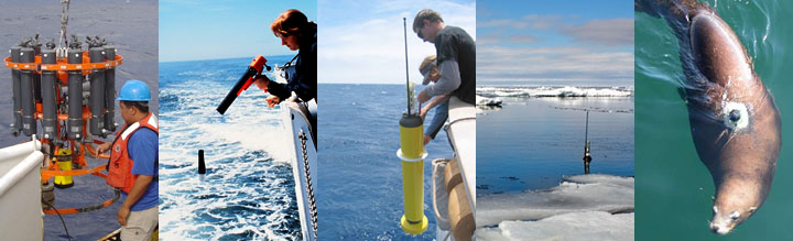 Okyanus iklimi gözlem yöntemlerinin montajı