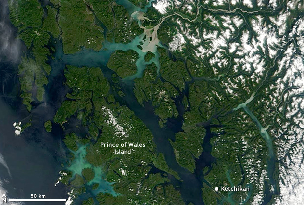 Photo-like satellite image of Alaska's southeast coast near Prince of Wales Island