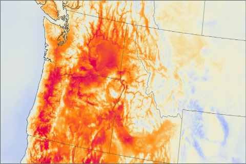 Heat wave scorches the Pacific Northwest